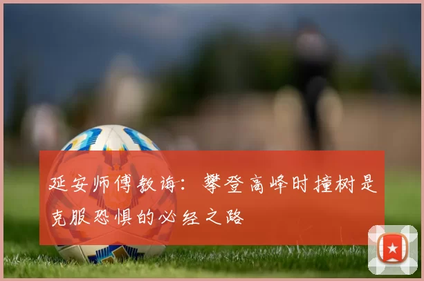 延安师傅教诲：攀登高峰时撞树是克服恐惧的必经之路