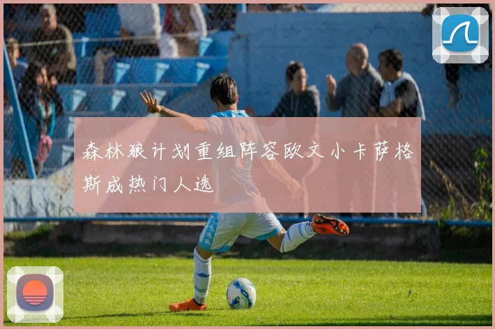 森林狼计划重组阵容欧文小卡萨格斯成热门人选